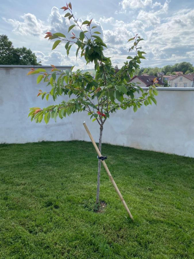 Olga Chambre D'Hote Verdun-sur-Meuse Bagian luar foto